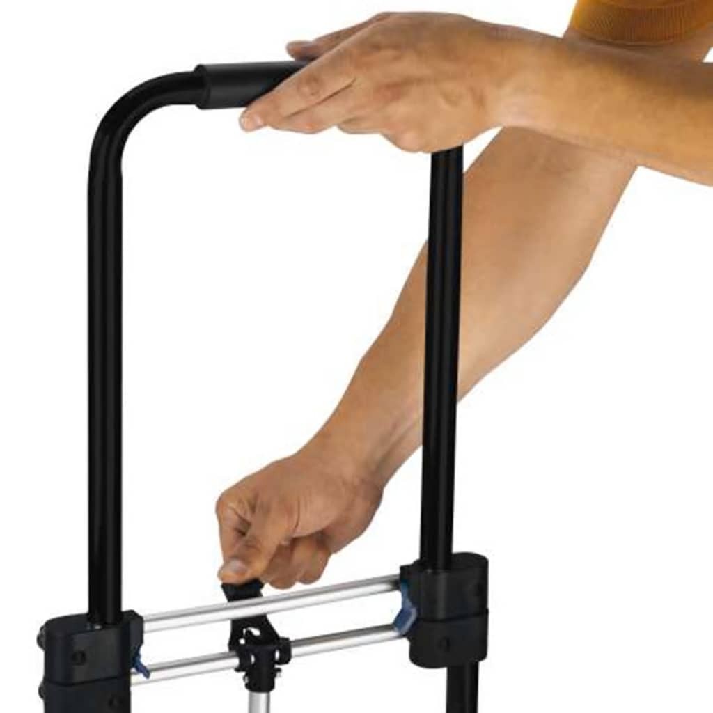 Einhell Hand Truck BT-HT 100
